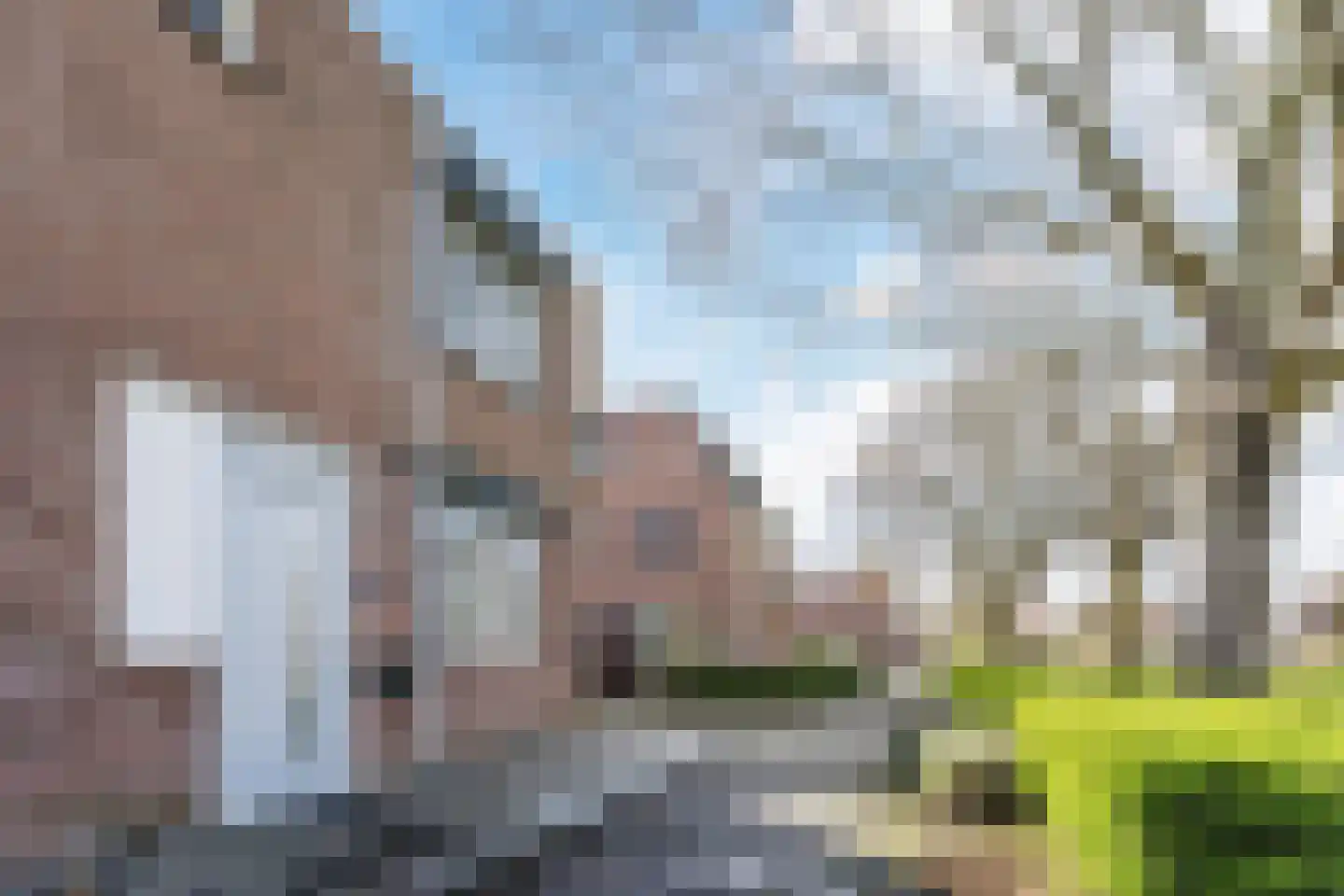 Meeldijk 20 Spijkenisse foto 2