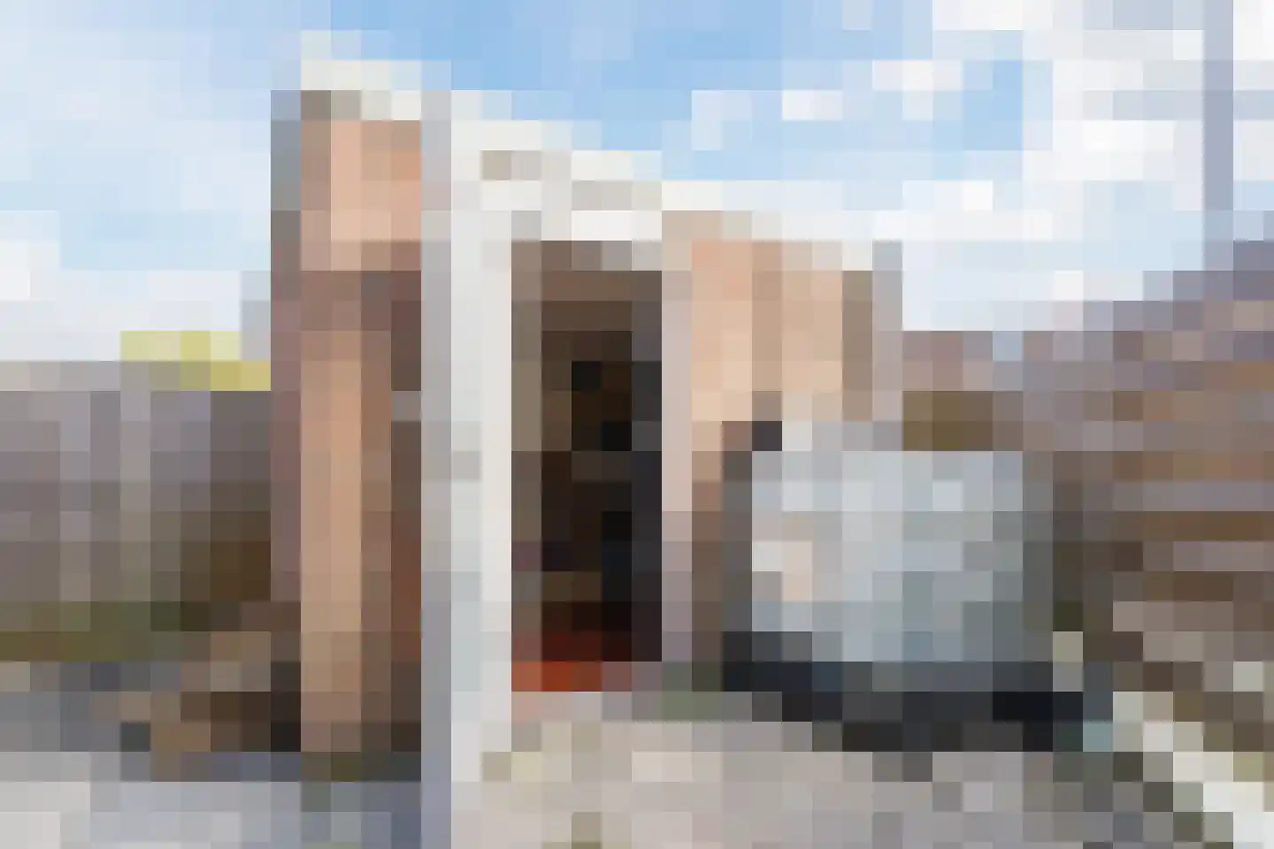 Meeldijk 20 Spijkenisse thumbnail 26