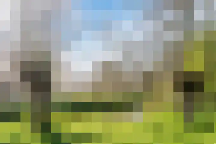 Meeldijk 20 Spijkenisse thumbnail 31