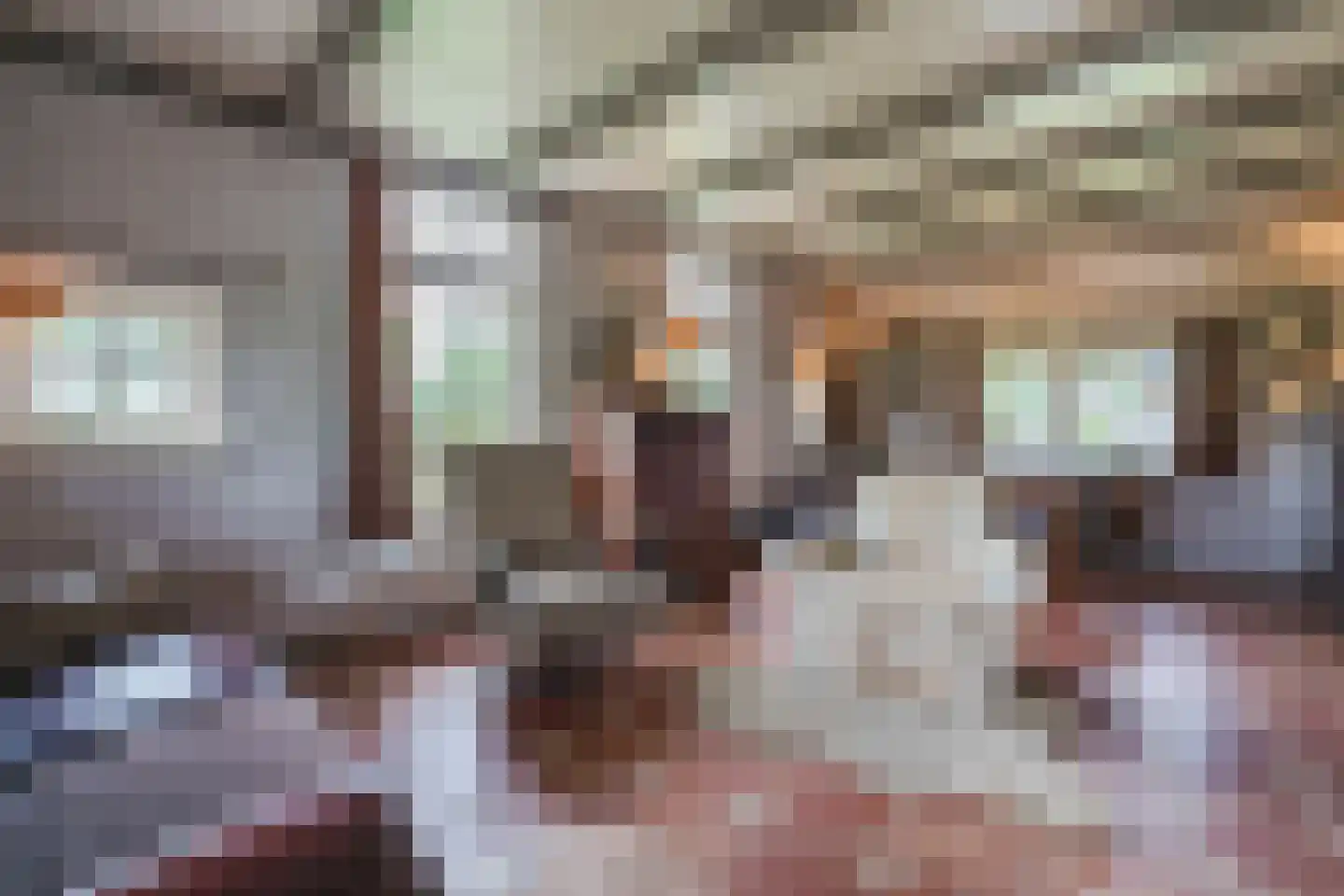 Meeleweg 105 Nieuwleusen thumbnail 11