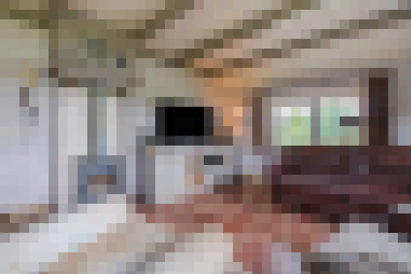Meeleweg 105 Nieuwleusen thumbnail 13