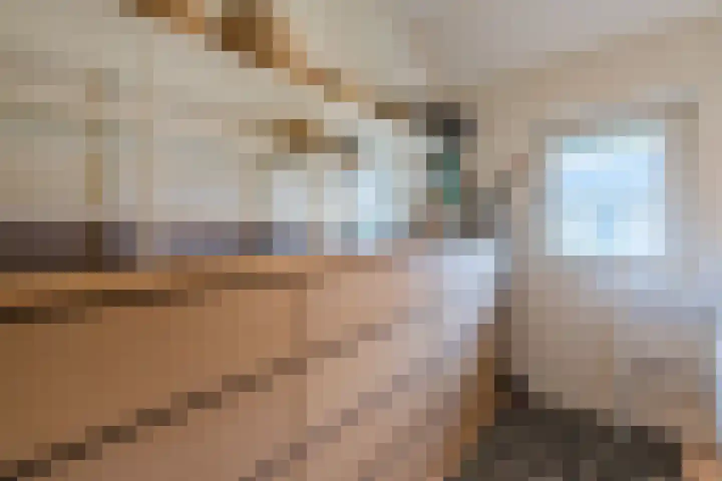 Meeleweg 105 Nieuwleusen thumbnail 27