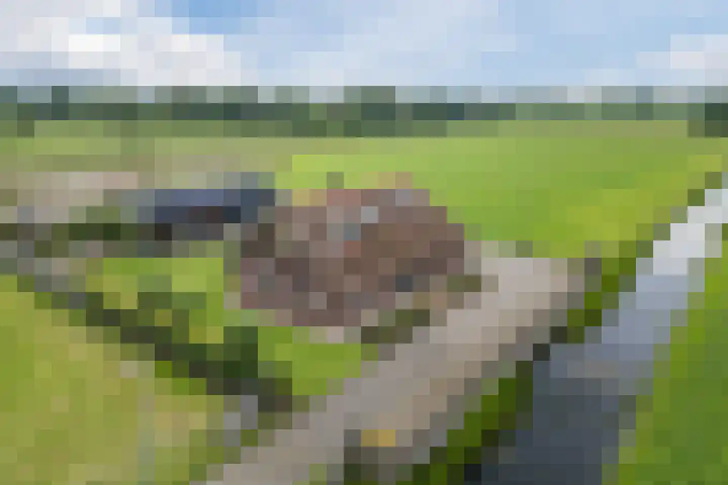 Meeleweg 105 Nieuwleusen thumbnail 38