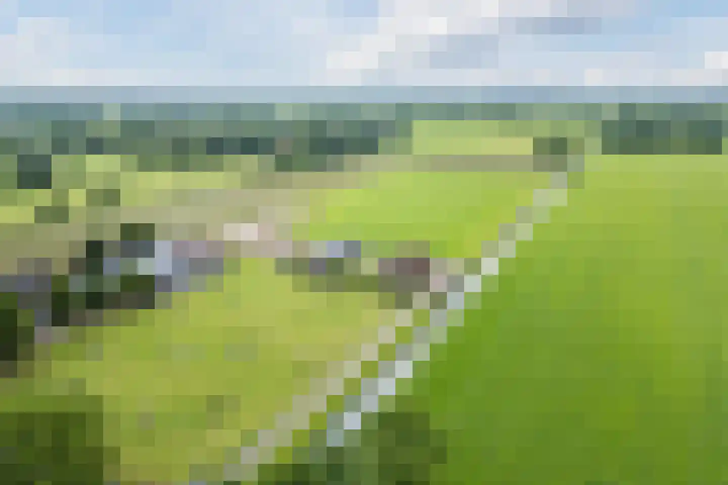 Meeleweg 105 Nieuwleusen thumbnail 4