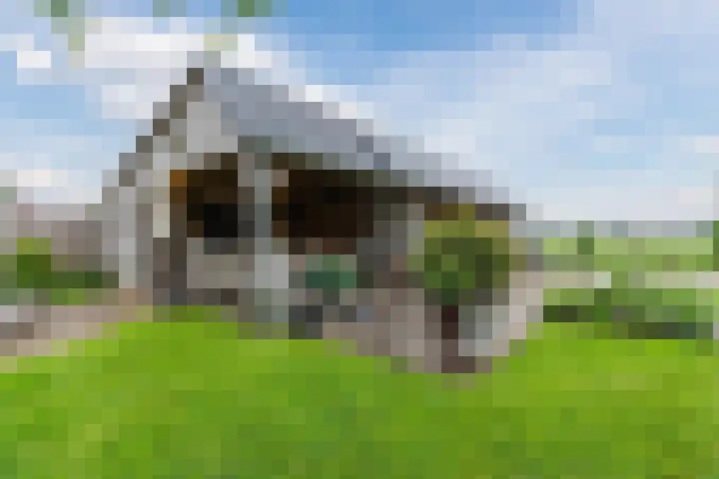 Meeleweg 105 Nieuwleusen thumbnail 45