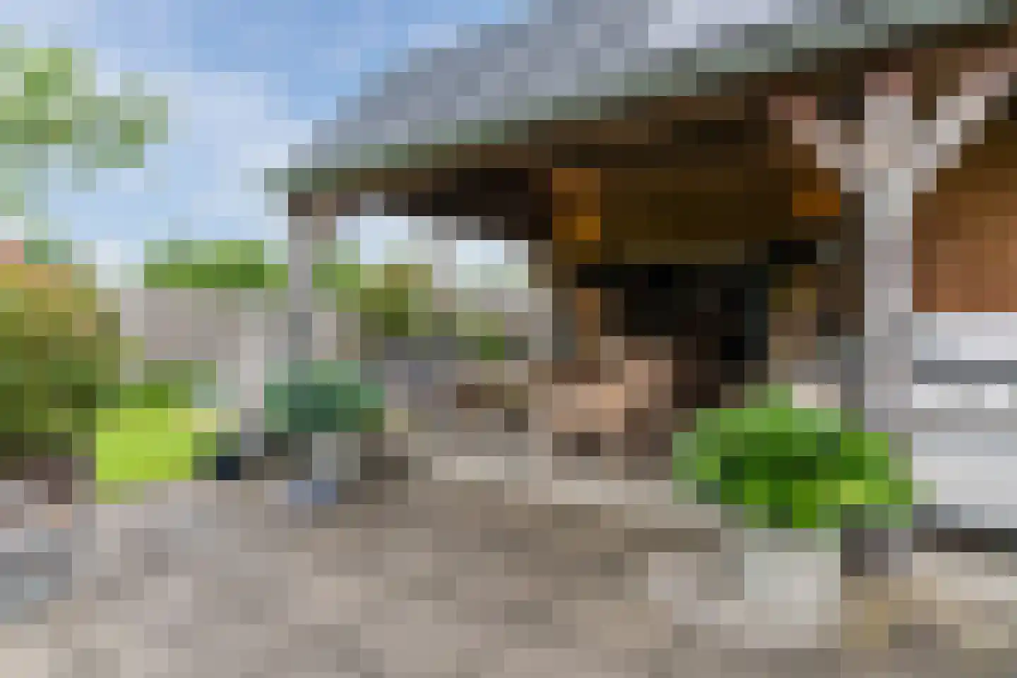 Meeleweg 105 Nieuwleusen thumbnail 46