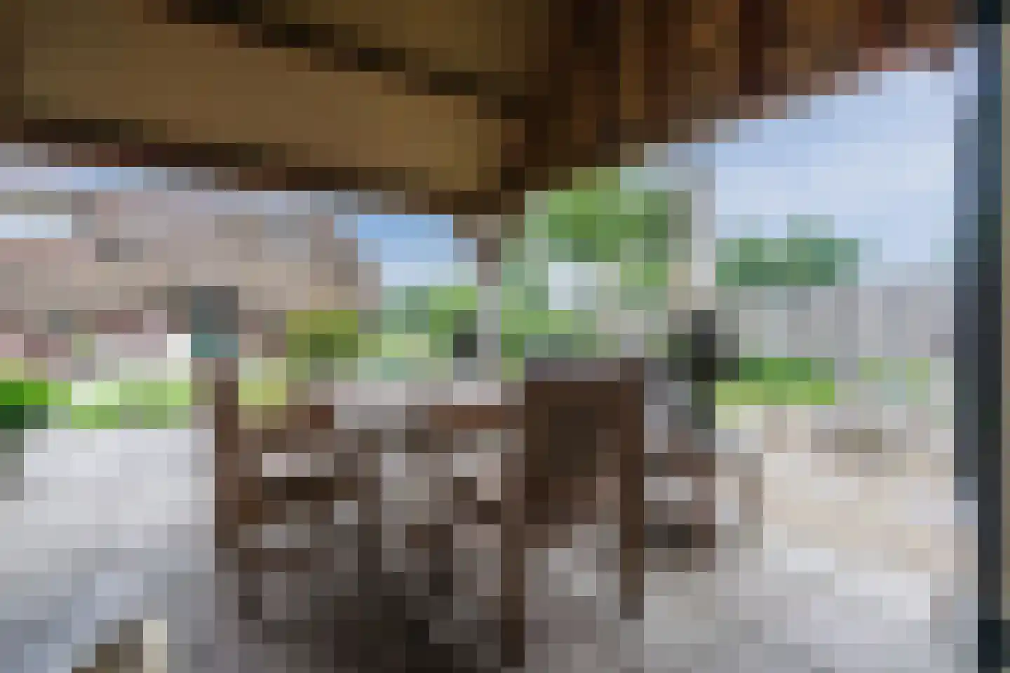 Meeleweg 105 Nieuwleusen thumbnail 49