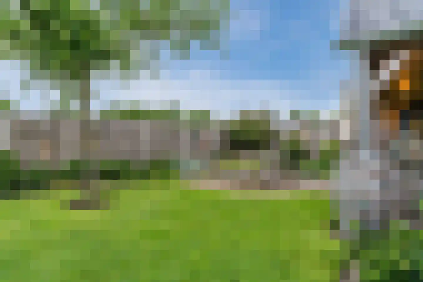 Meeleweg 105 Nieuwleusen thumbnail 51