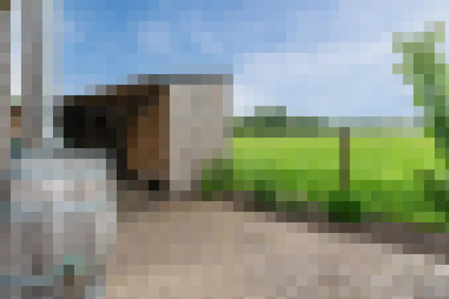 Meeleweg 105 Nieuwleusen thumbnail 52