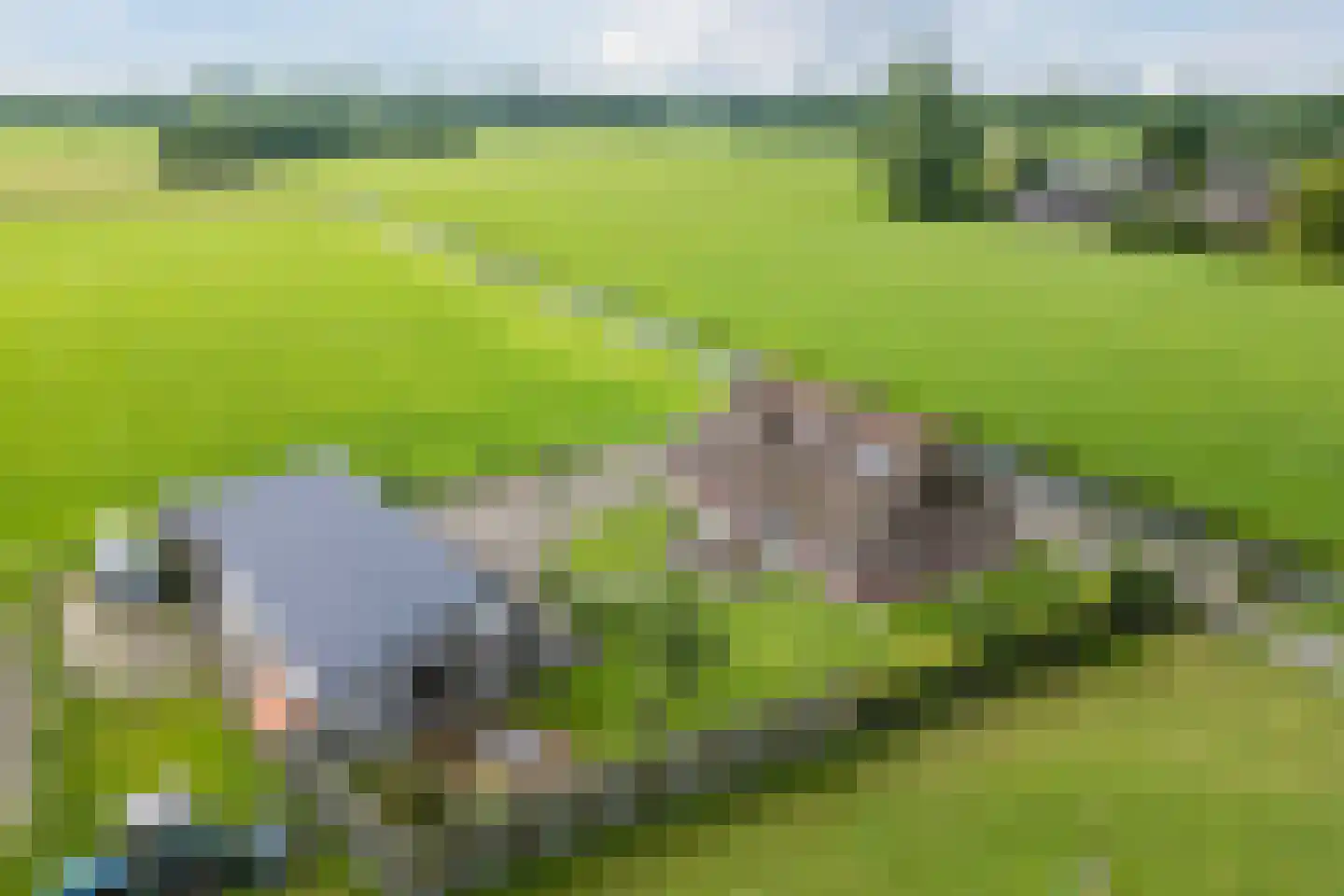 Meeleweg 105 Nieuwleusen thumbnail 53