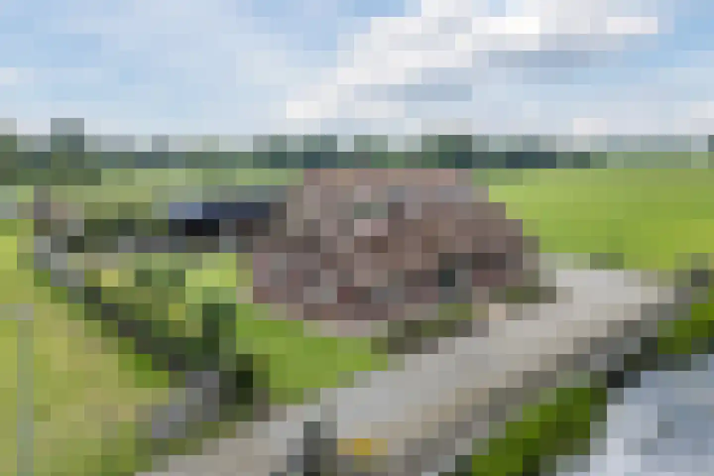 Meeleweg 105 Nieuwleusen thumbnail 54