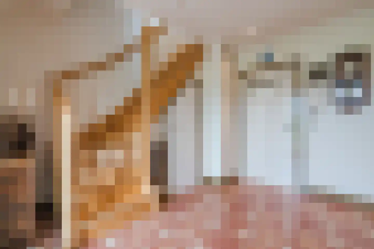 Meeleweg 105 Nieuwleusen thumbnail 9