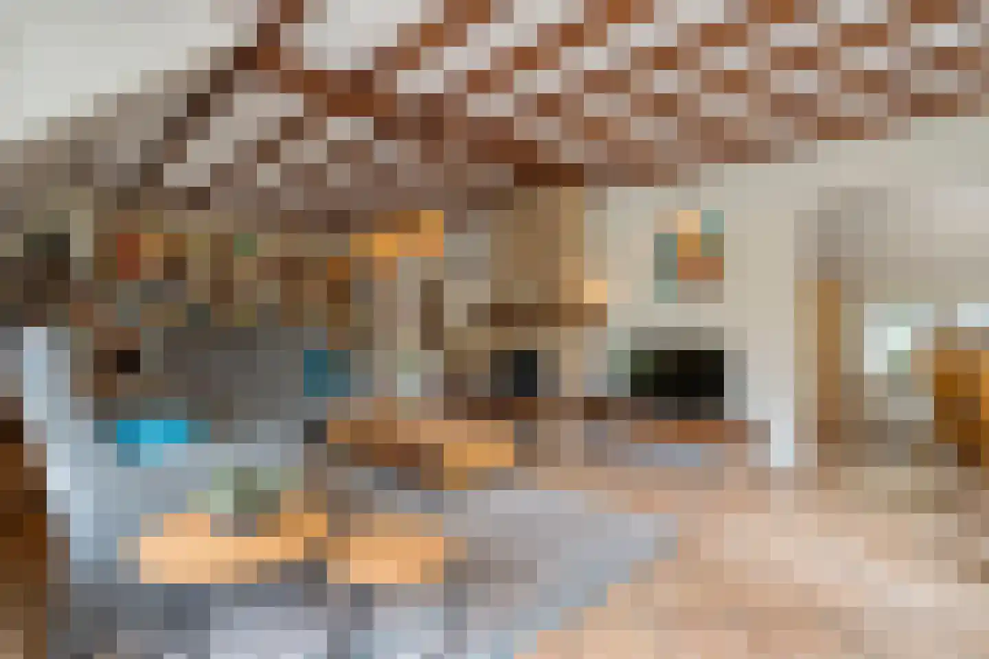 Meeleweg 23 Nieuwleusen thumbnail 10