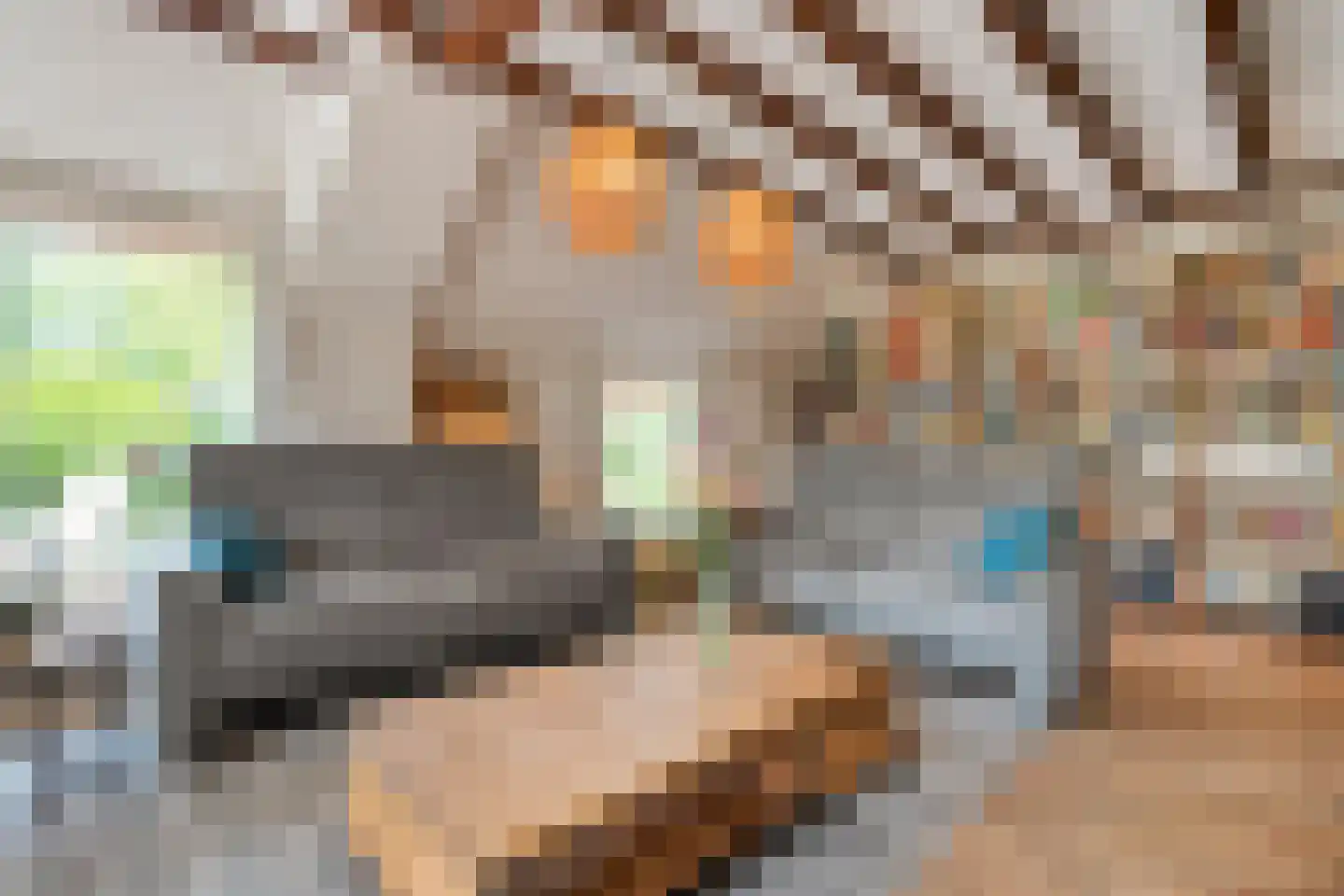 Meeleweg 23 Nieuwleusen thumbnail 11