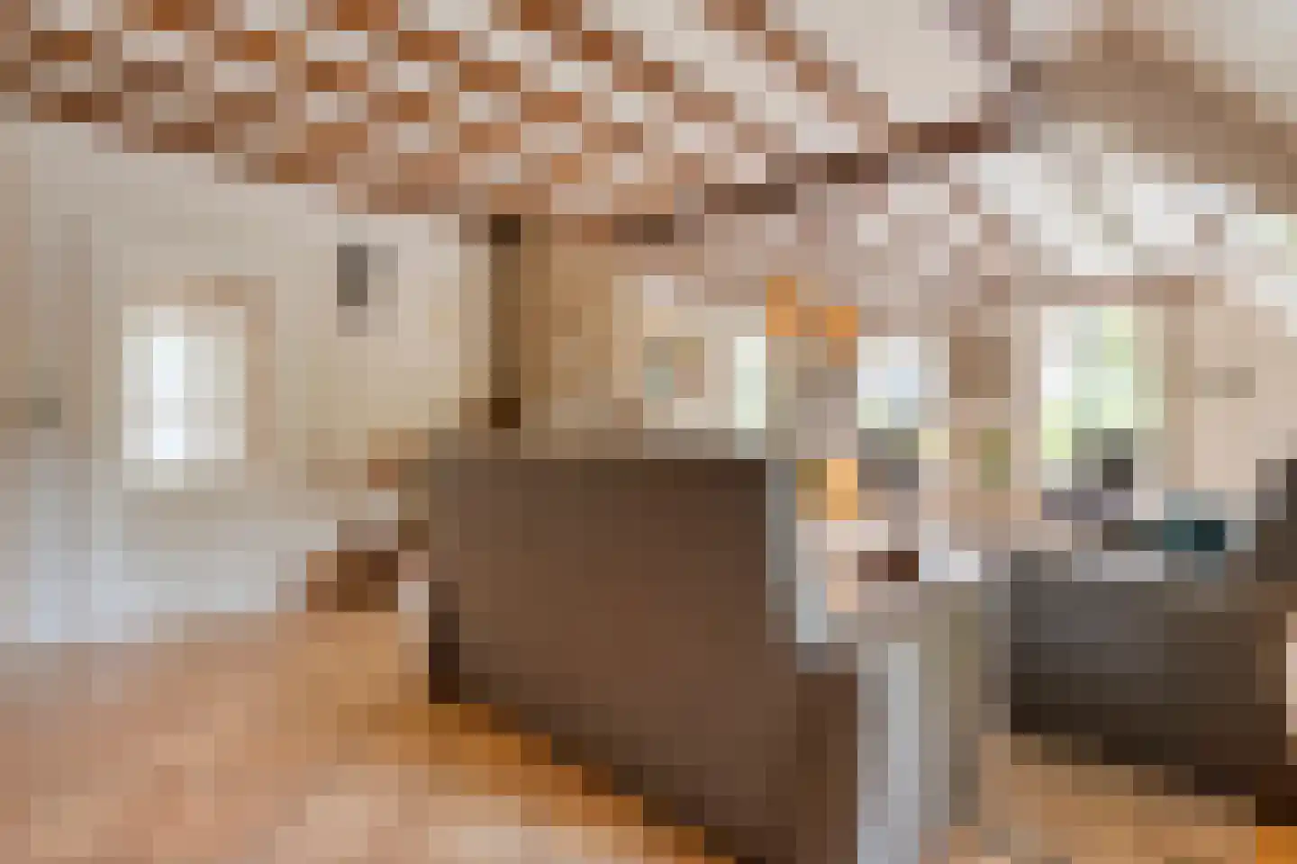 Meeleweg 23 Nieuwleusen thumbnail 13