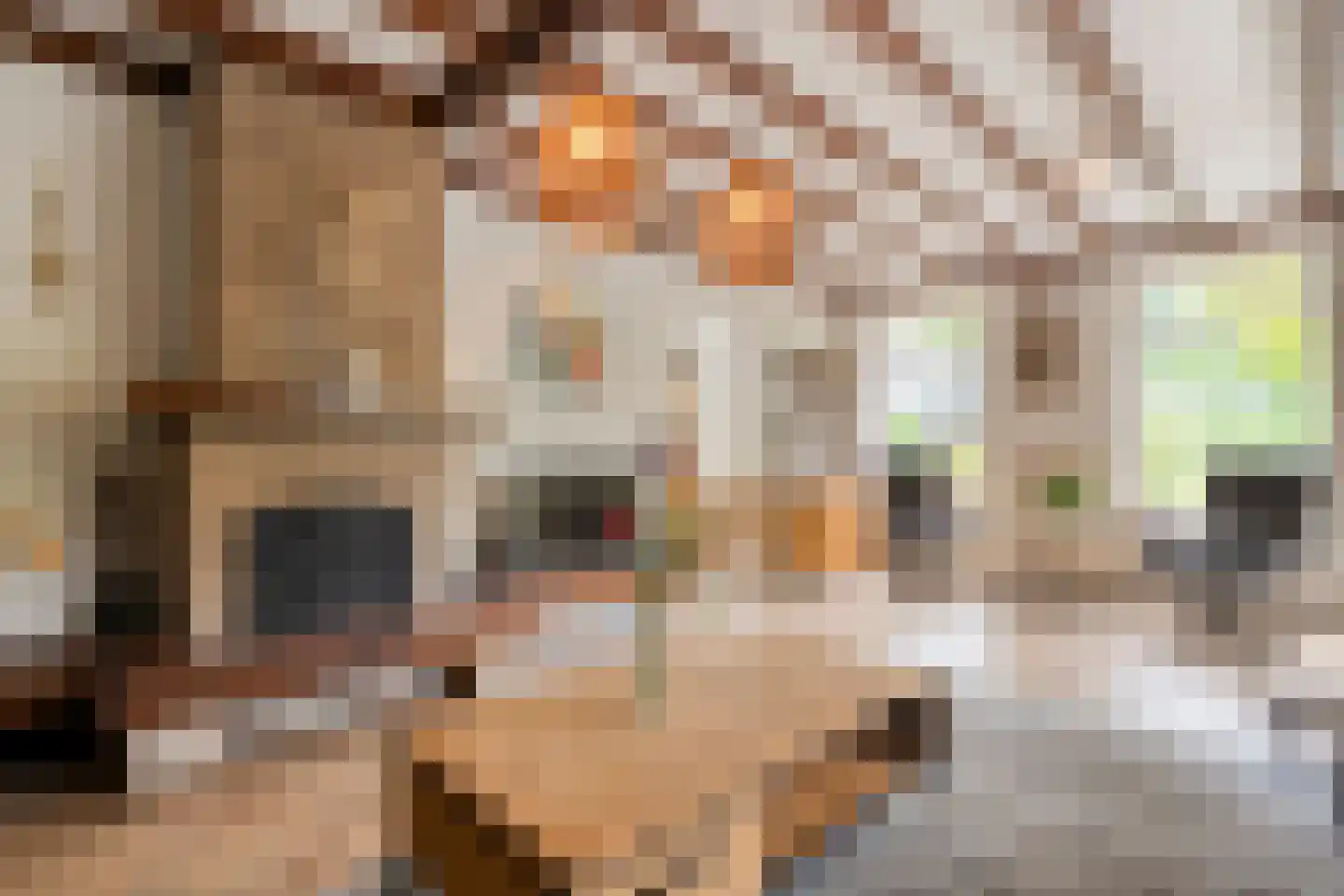 Meeleweg 23 Nieuwleusen thumbnail 14