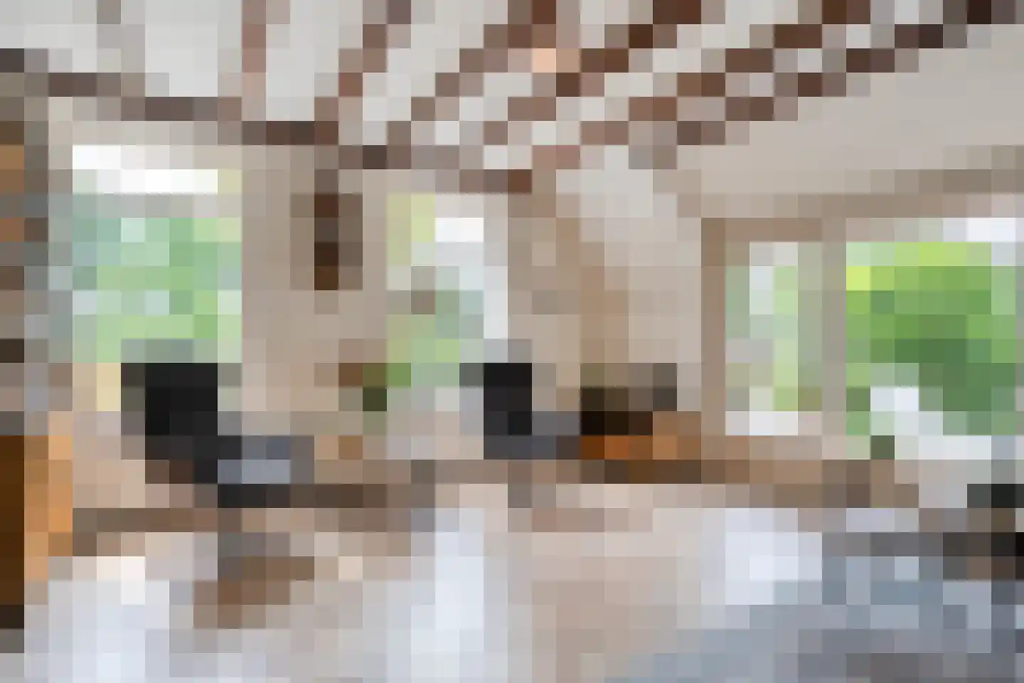 Meeleweg 23 Nieuwleusen thumbnail 16
