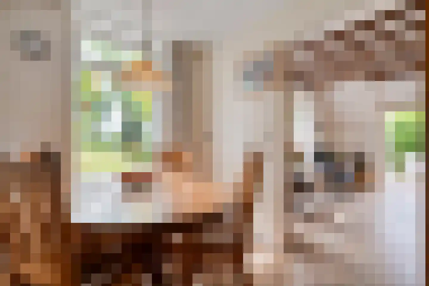 Meeleweg 23 Nieuwleusen thumbnail 17