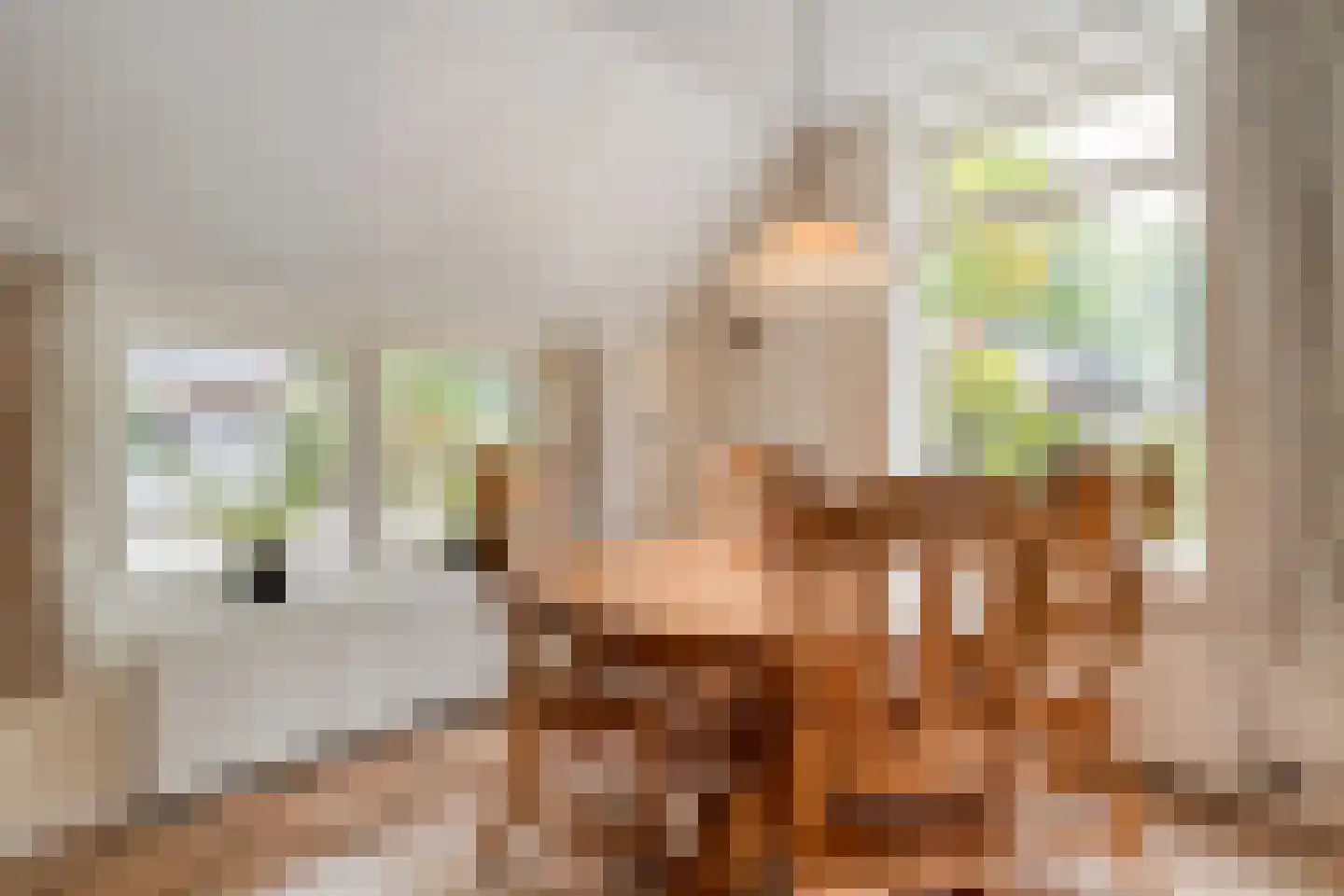 Meeleweg 23 Nieuwleusen thumbnail 18