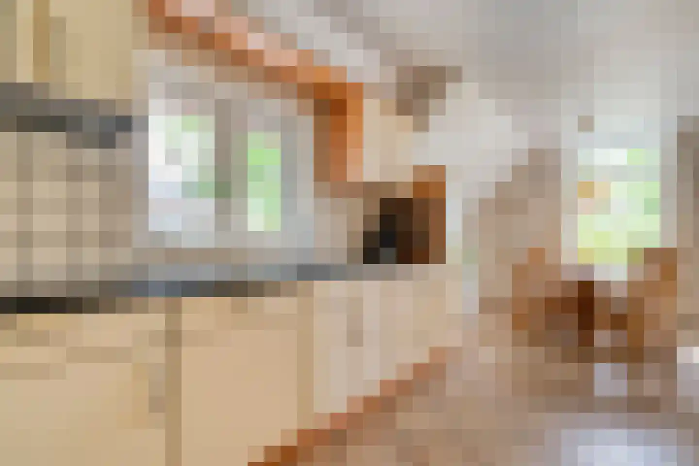 Meeleweg 23 Nieuwleusen thumbnail 19