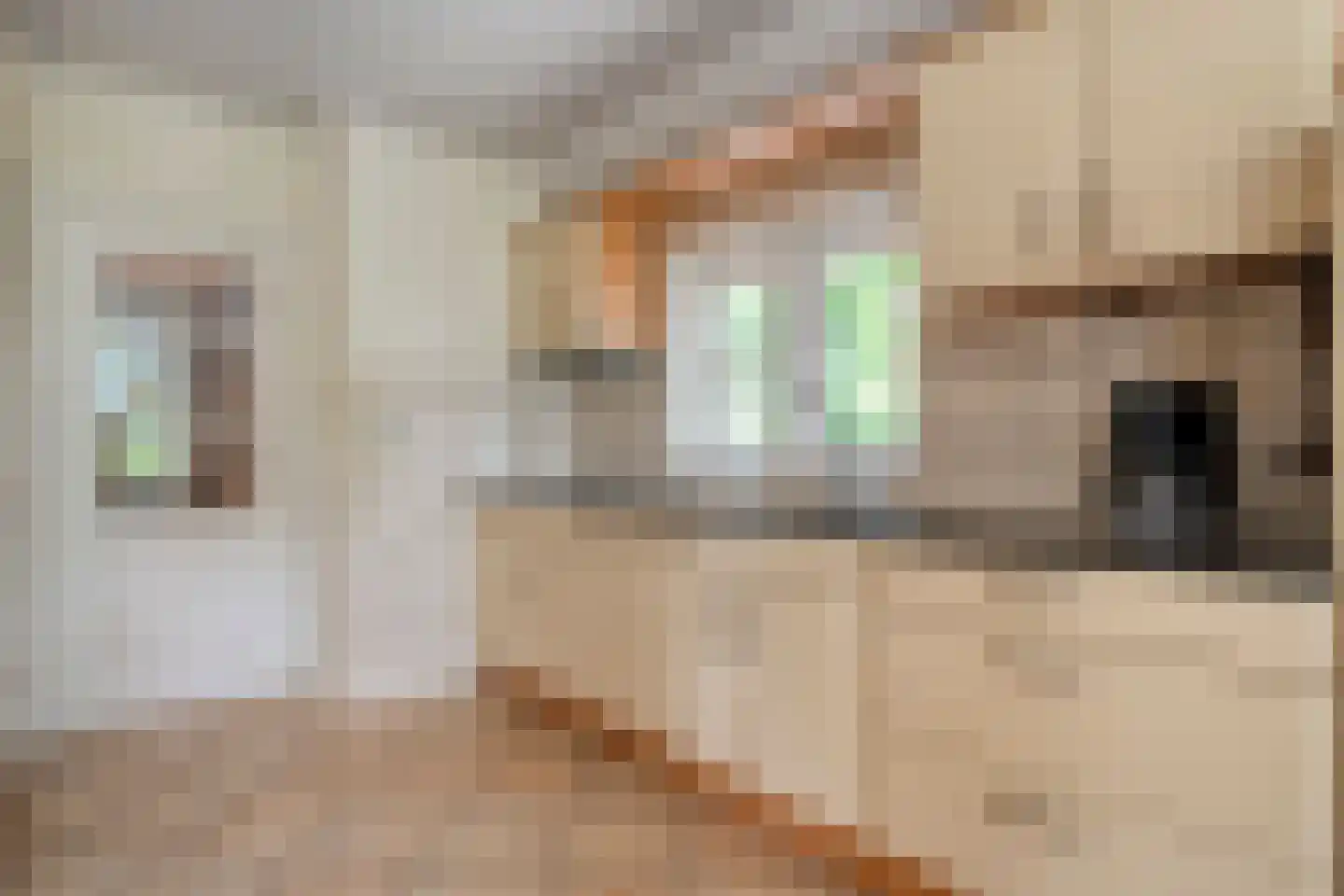 Meeleweg 23 Nieuwleusen thumbnail 21