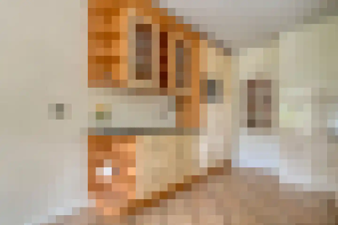 Meeleweg 23 Nieuwleusen thumbnail 22