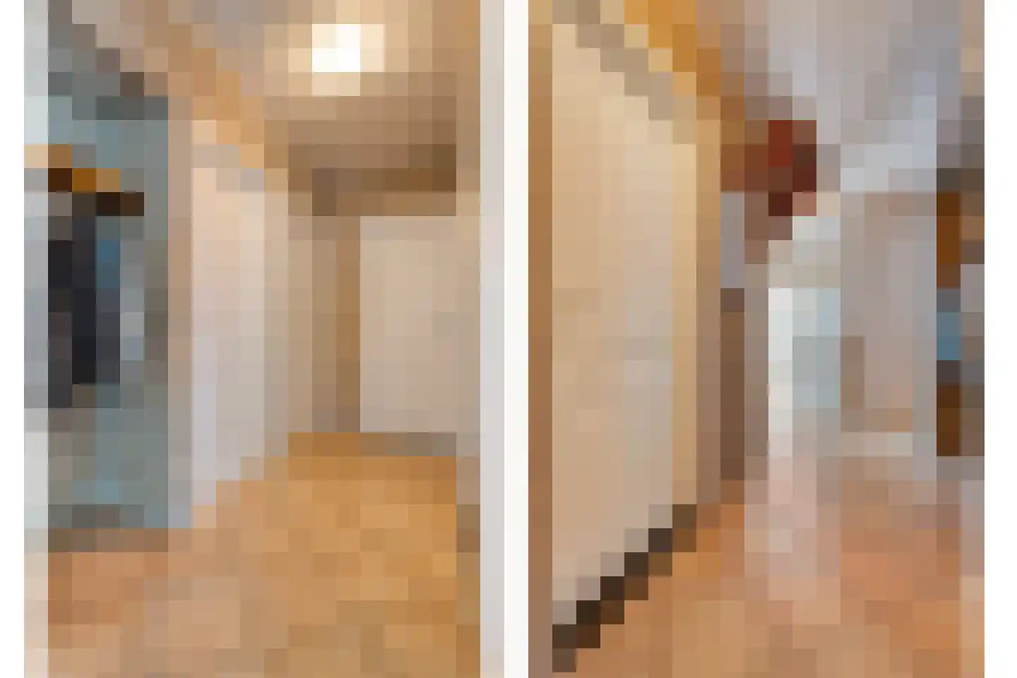 Meeleweg 23 Nieuwleusen thumbnail 23