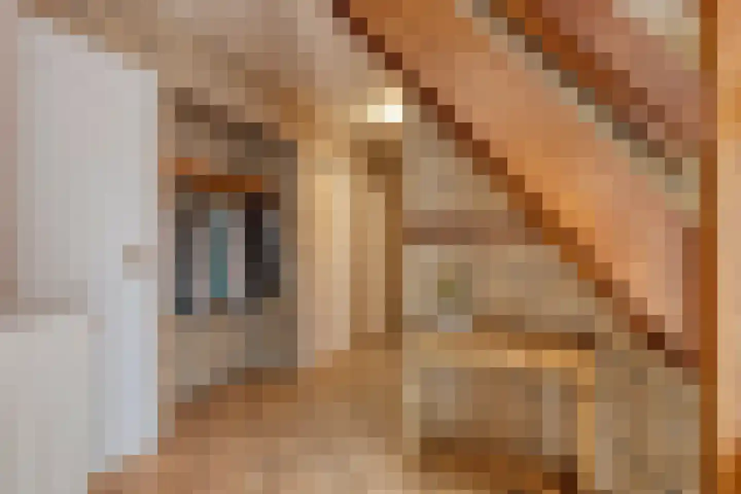 Meeleweg 23 Nieuwleusen thumbnail 24