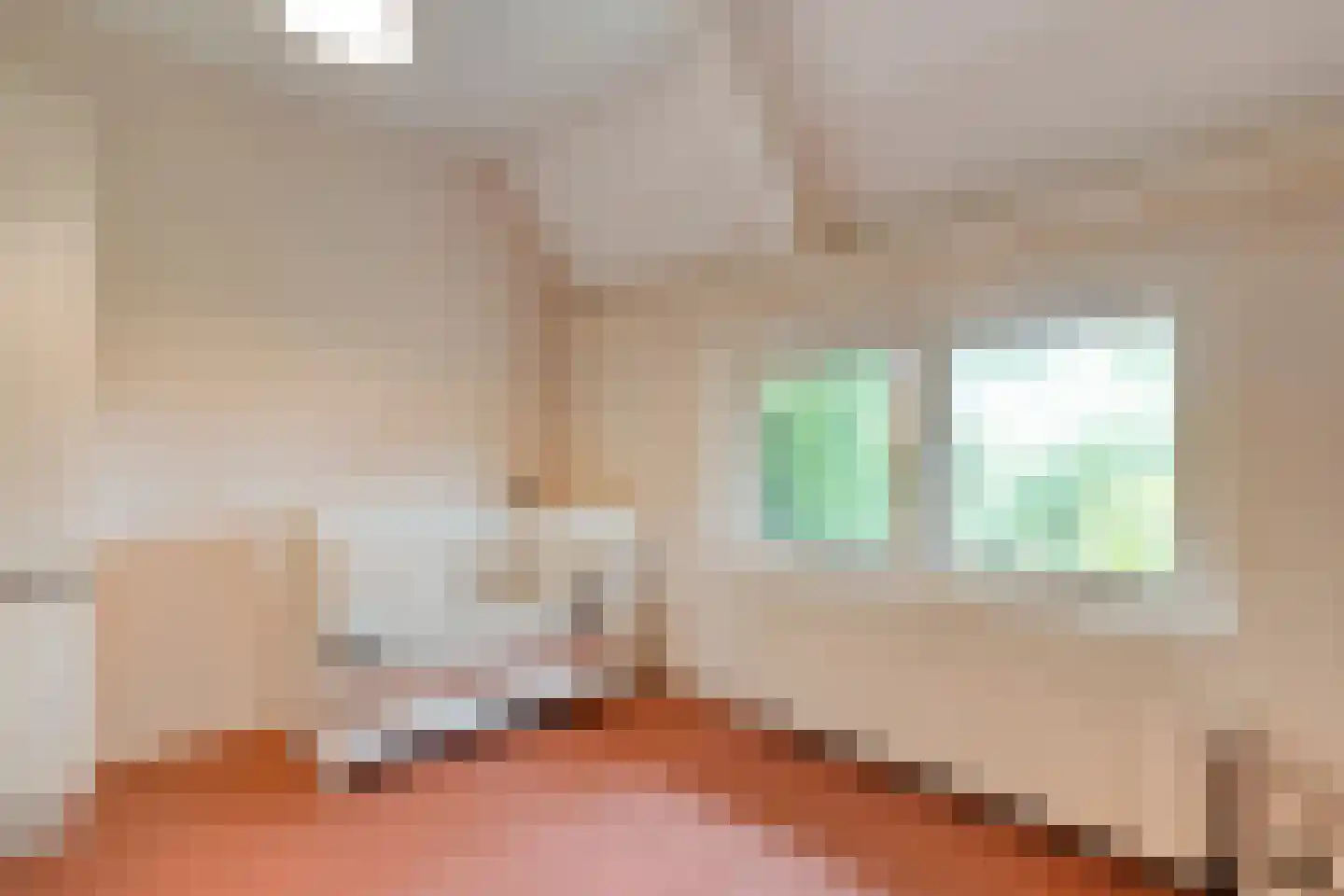 Meeleweg 23 Nieuwleusen thumbnail 25
