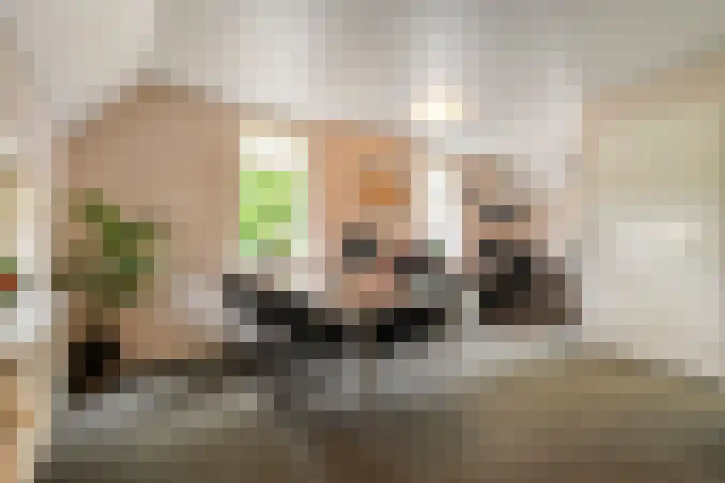 Meeleweg 23 Nieuwleusen thumbnail 34