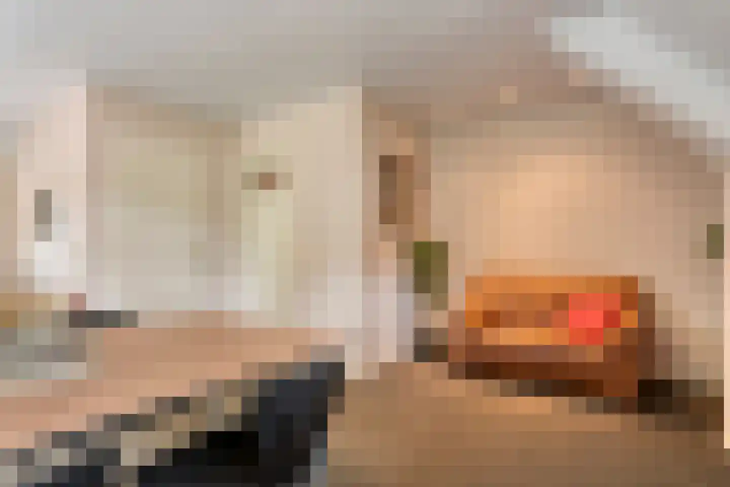 Meeleweg 23 Nieuwleusen thumbnail 38