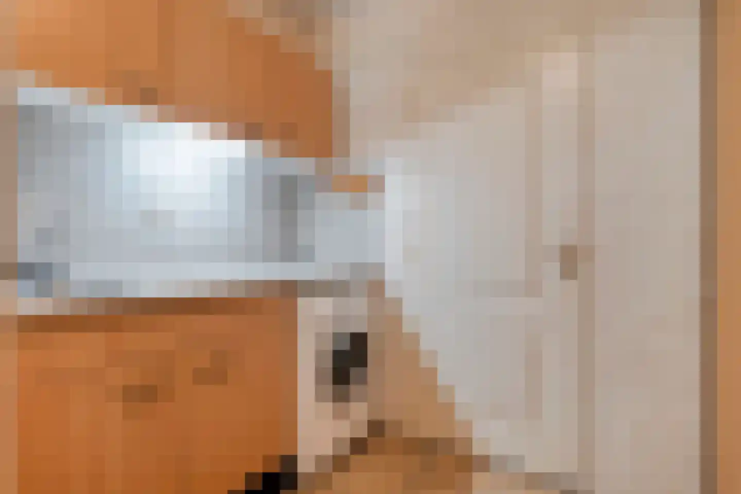 Meeleweg 23 Nieuwleusen thumbnail 40