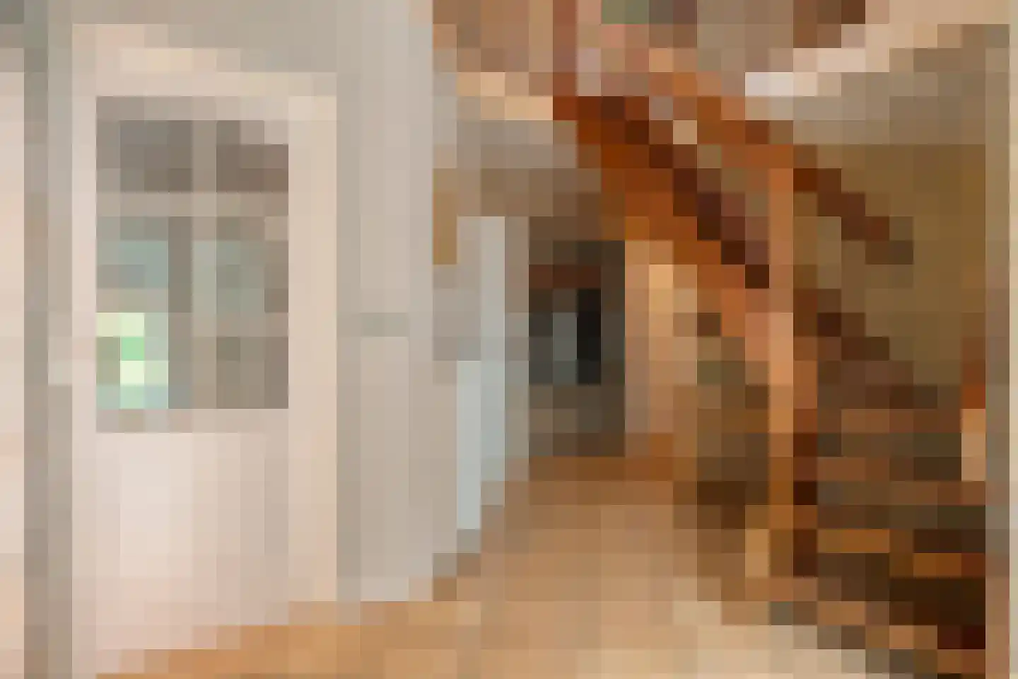 Meeleweg 23 Nieuwleusen thumbnail 41