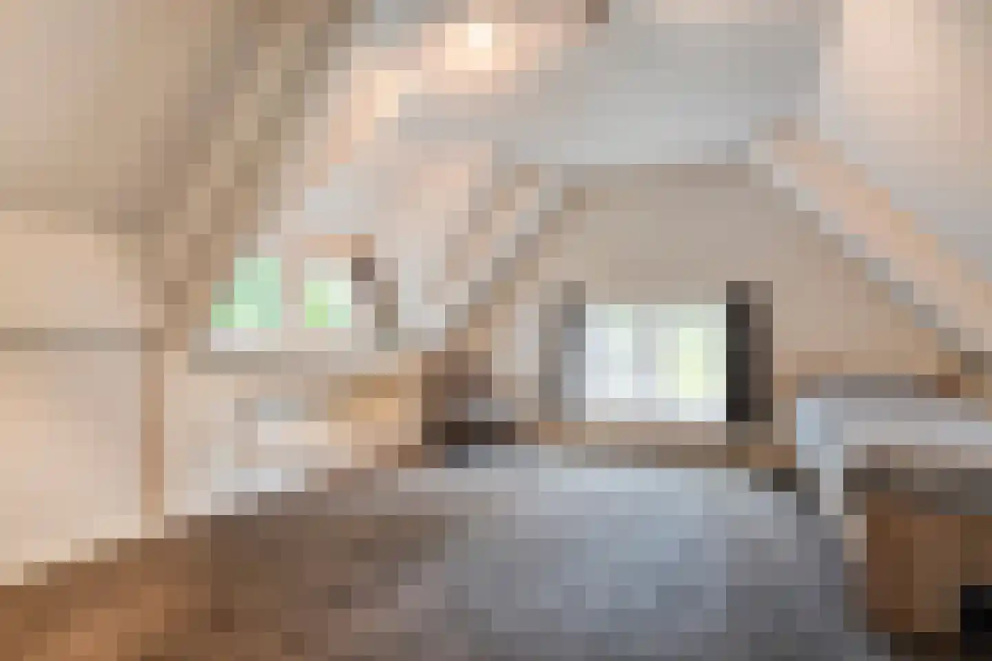 Meeleweg 23 Nieuwleusen thumbnail 43