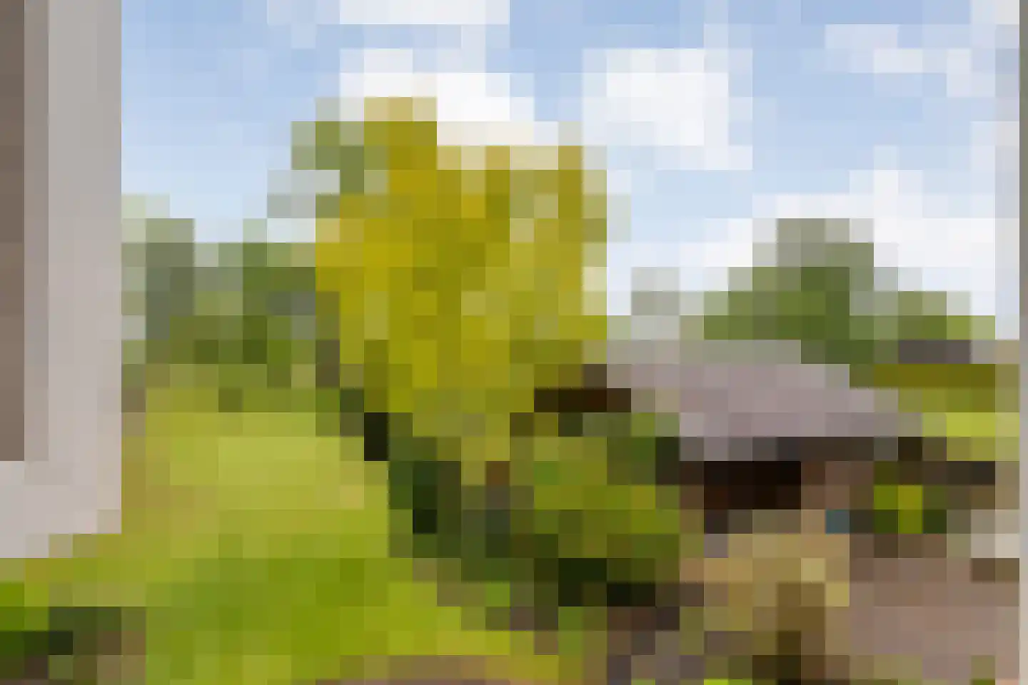 Meeleweg 23 Nieuwleusen thumbnail 44