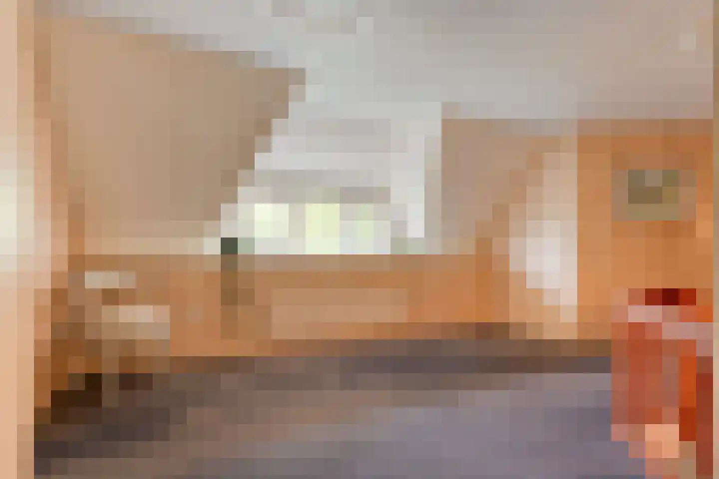 Meeleweg 23 Nieuwleusen thumbnail 46