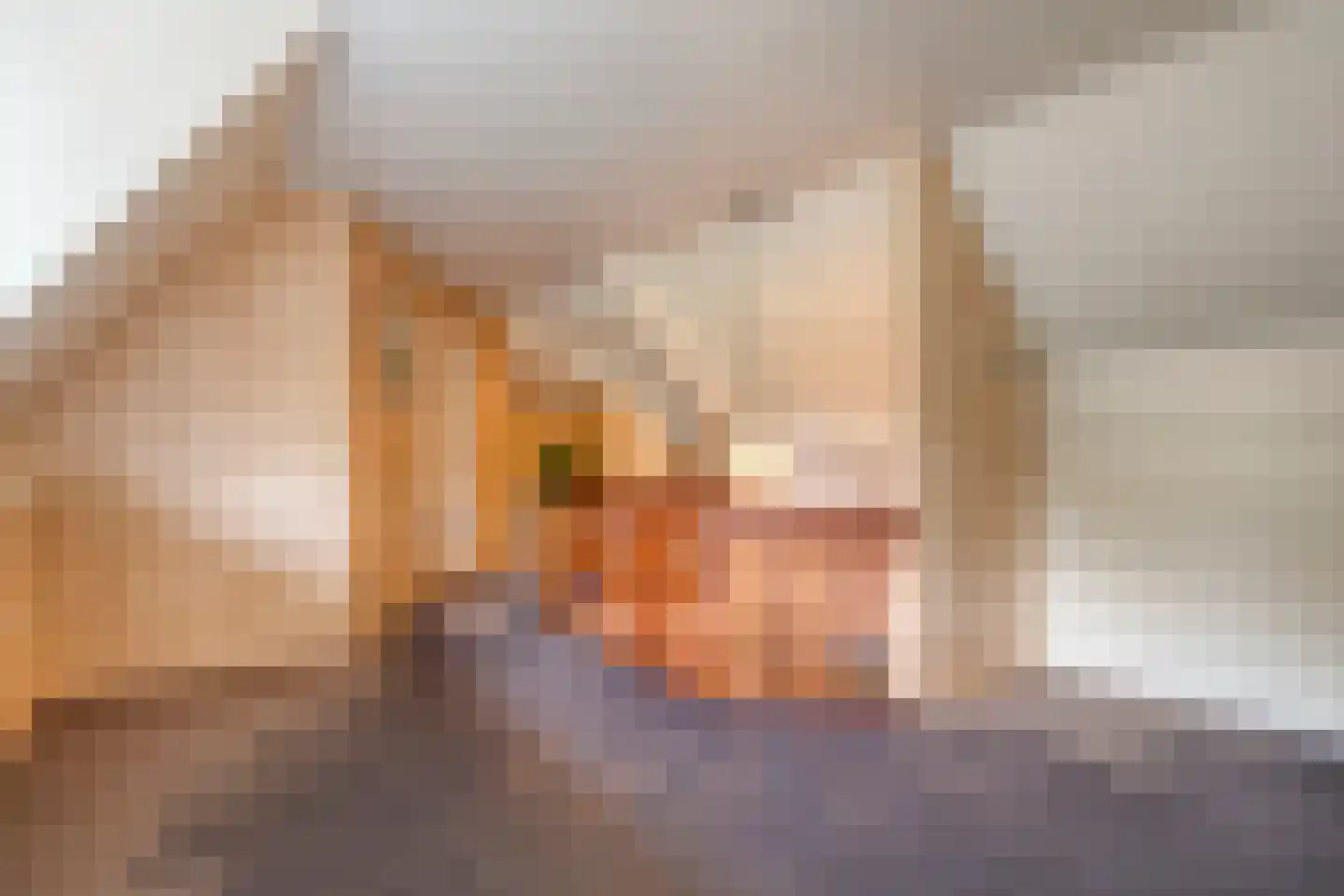 Meeleweg 23 Nieuwleusen thumbnail 47