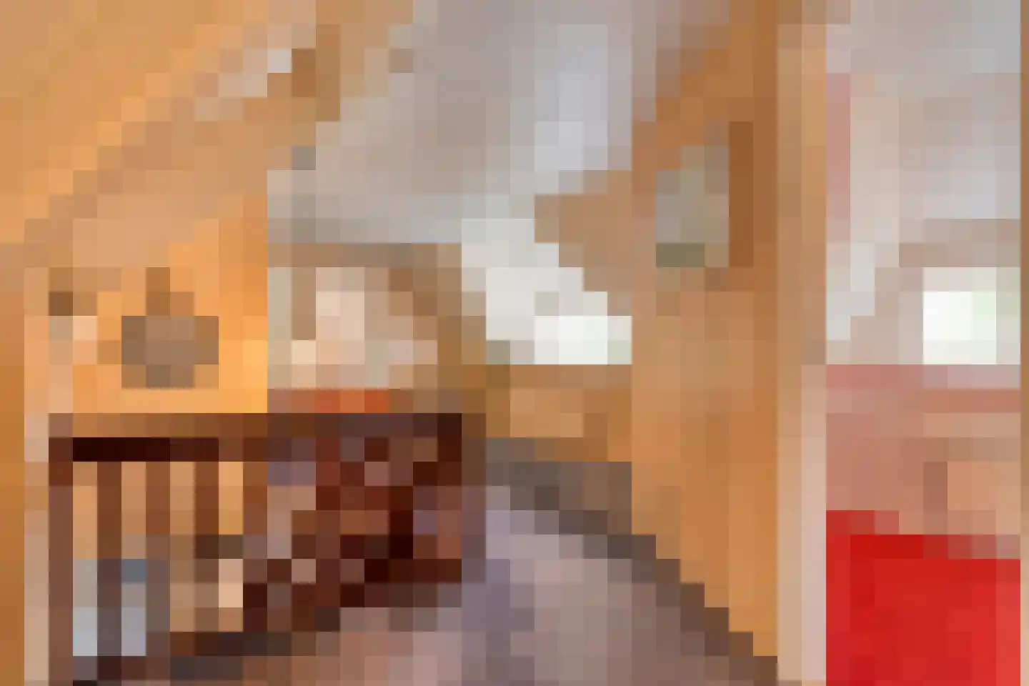 Meeleweg 23 Nieuwleusen thumbnail 48