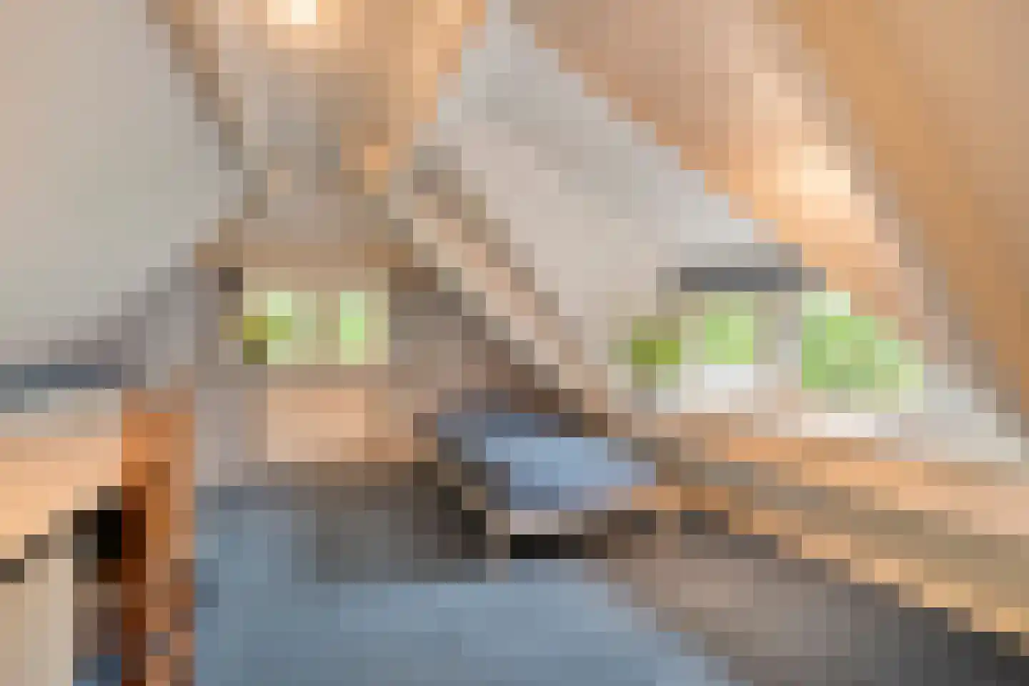 Meeleweg 23 Nieuwleusen thumbnail 51