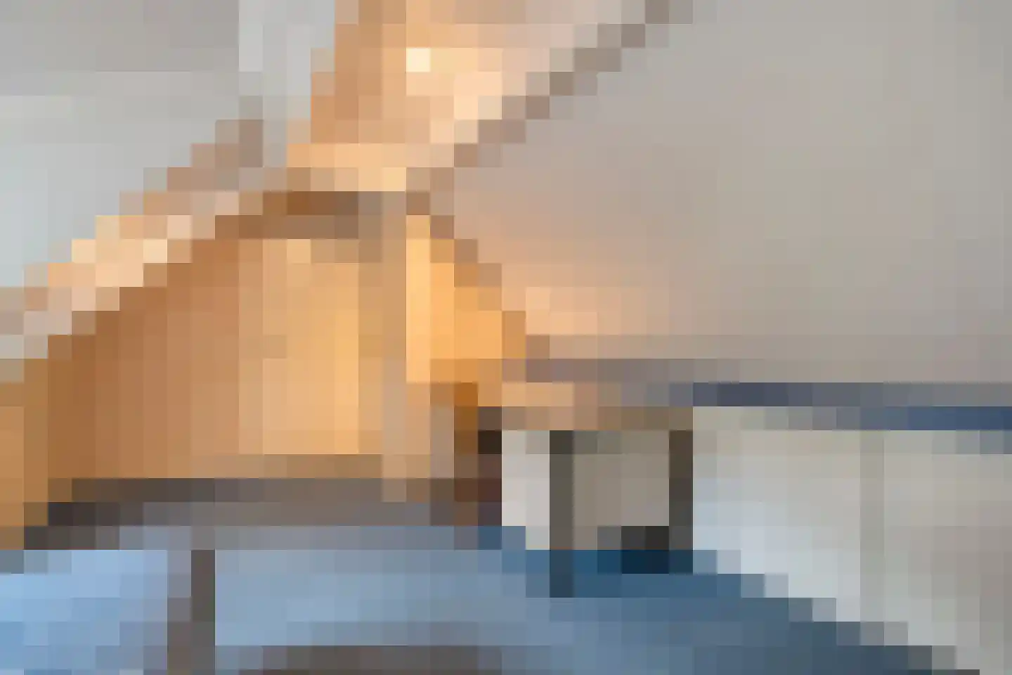 Meeleweg 23 Nieuwleusen thumbnail 52