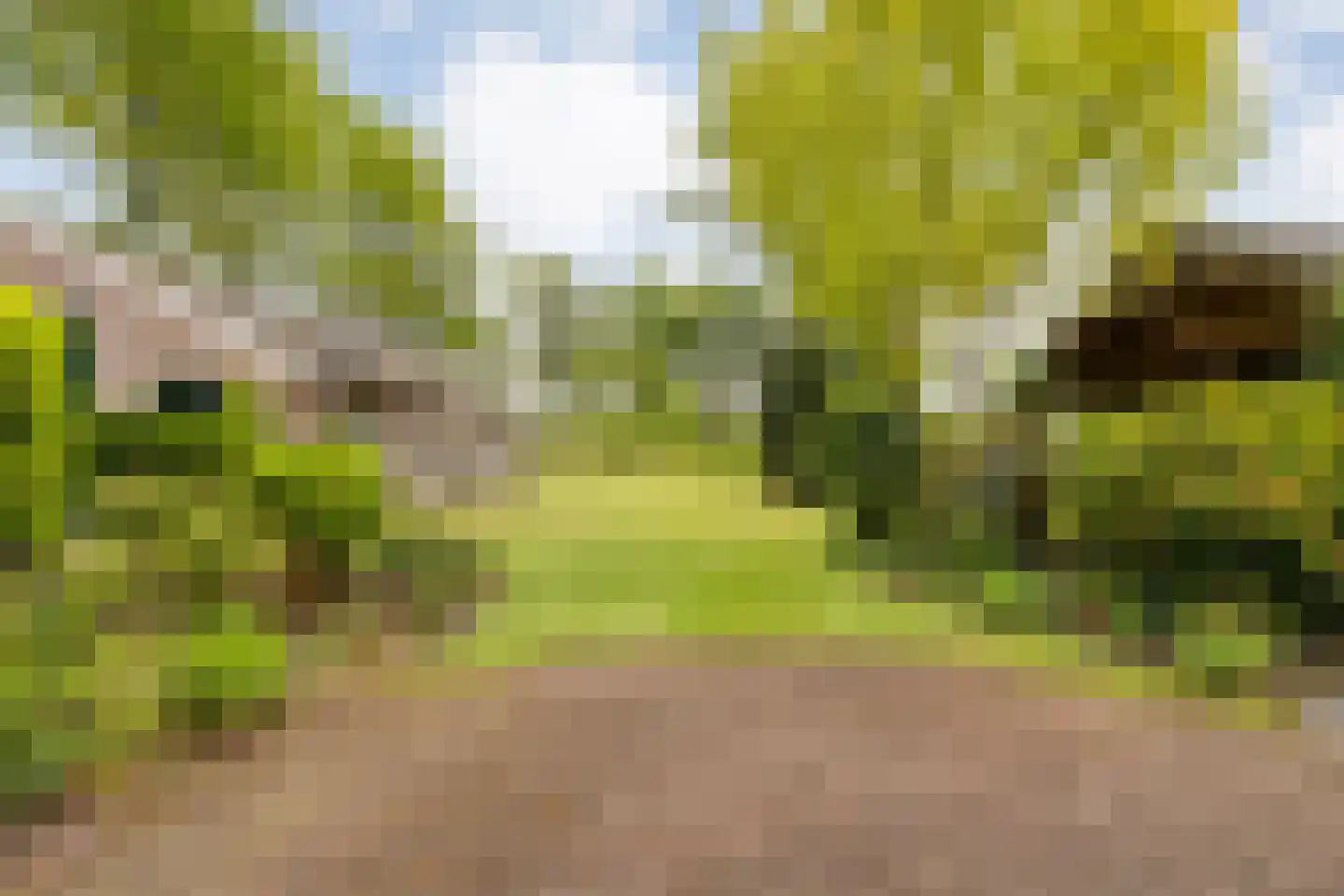 Meeleweg 23 Nieuwleusen thumbnail 53