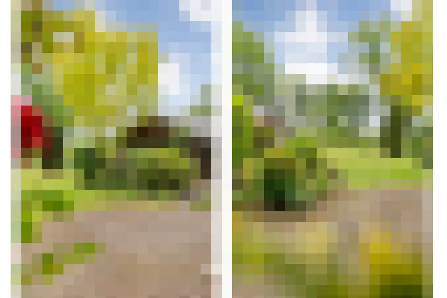 Meeleweg 23 Nieuwleusen thumbnail 54