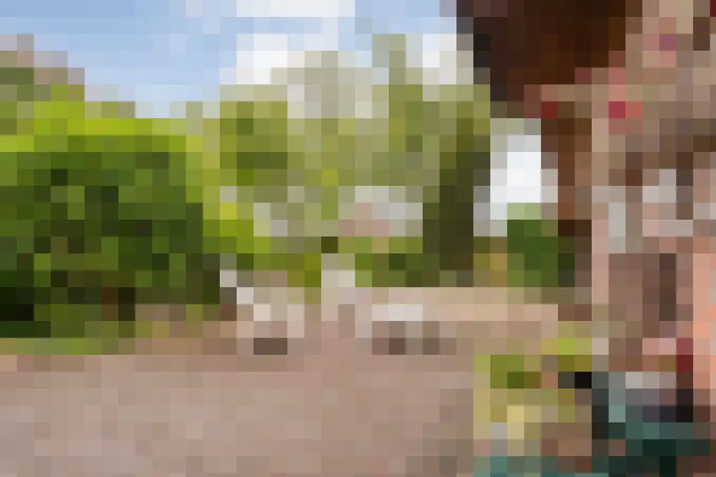Meeleweg 23 Nieuwleusen thumbnail 55