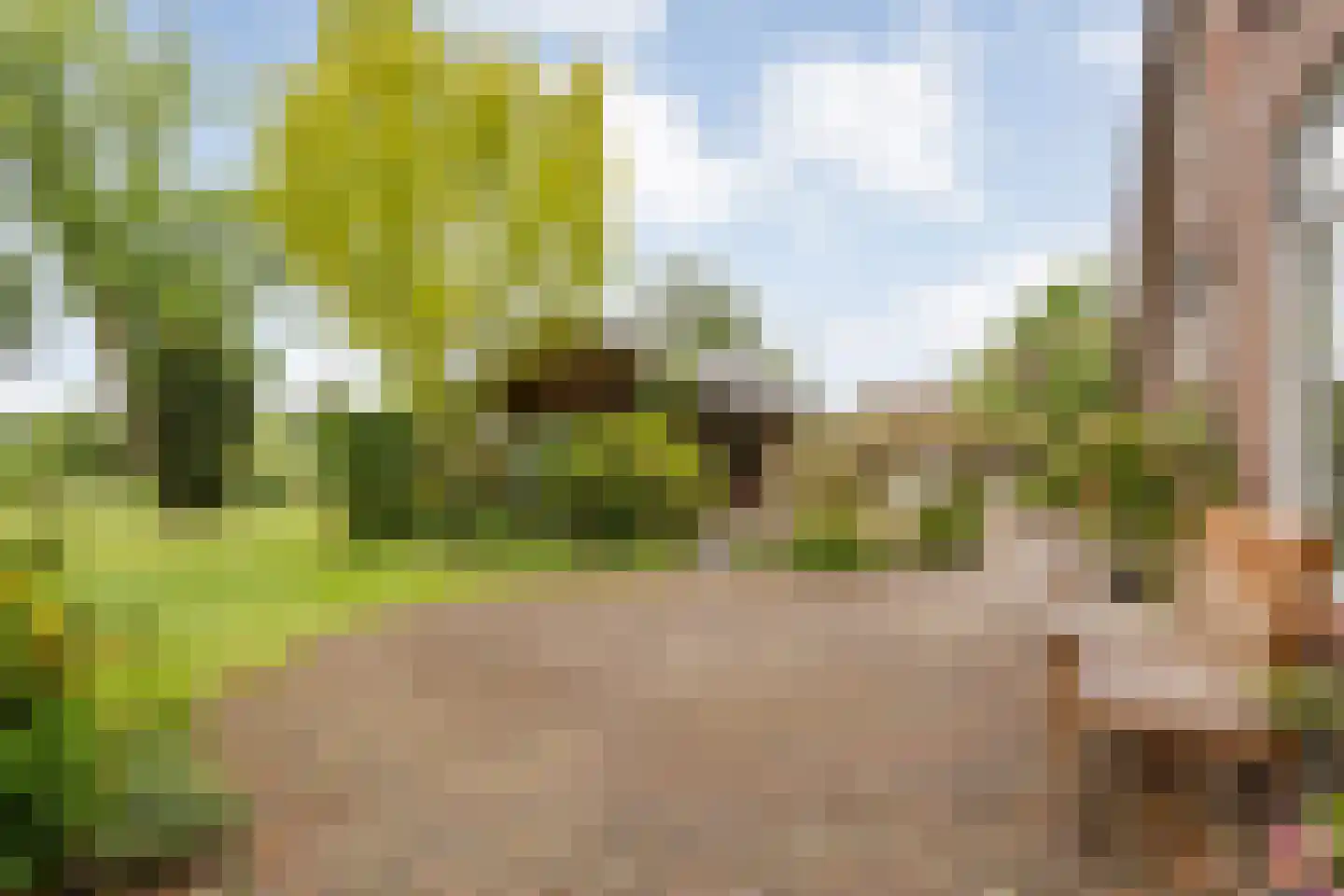 Meeleweg 23 Nieuwleusen thumbnail 56