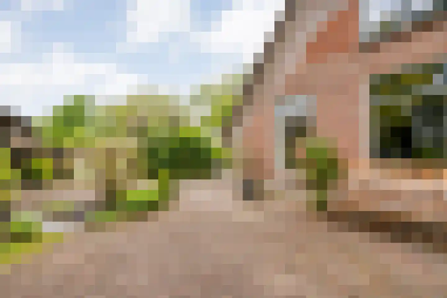 Meeleweg 23 Nieuwleusen thumbnail 57