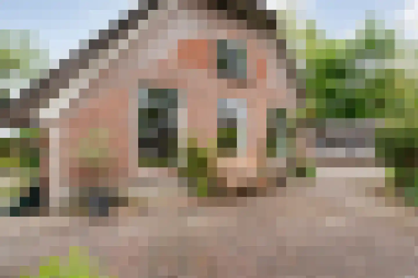 Meeleweg 23 Nieuwleusen thumbnail 58