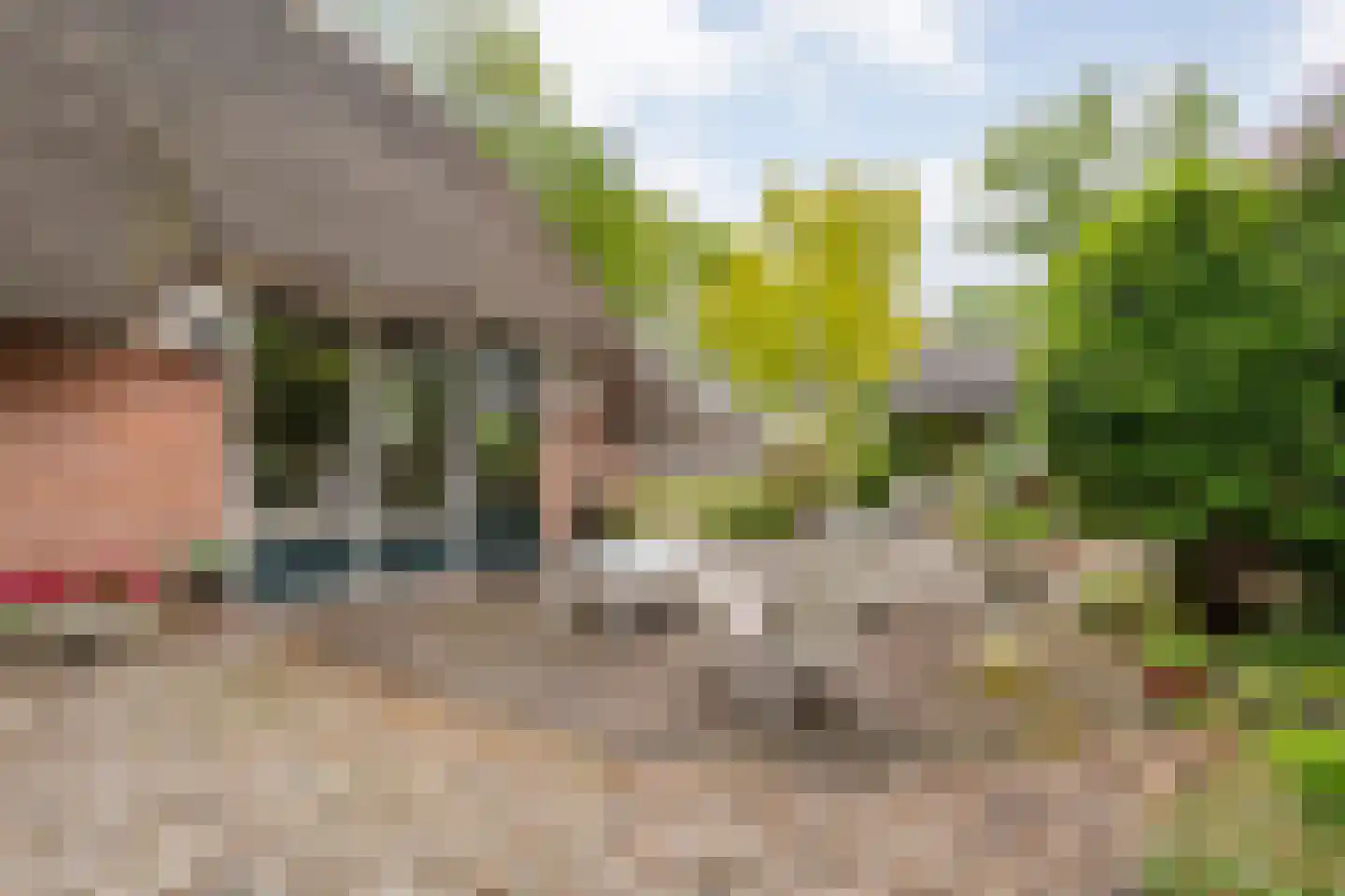 Meeleweg 23 Nieuwleusen thumbnail 59