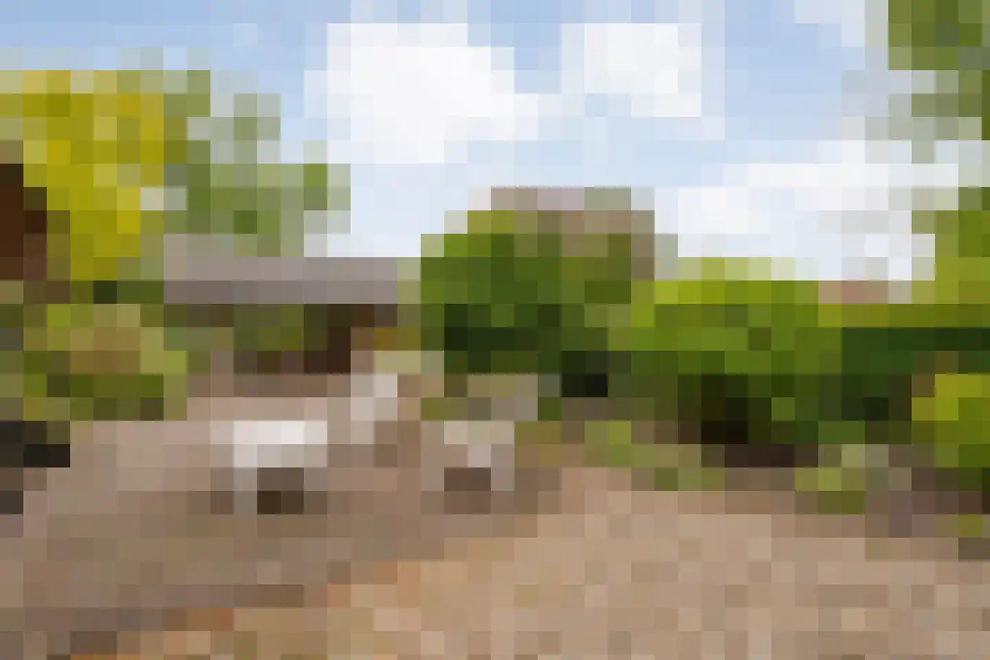 Meeleweg 23 Nieuwleusen thumbnail 60
