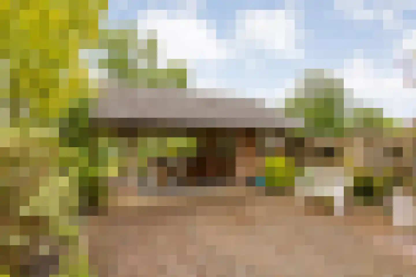 Meeleweg 23 Nieuwleusen thumbnail 62