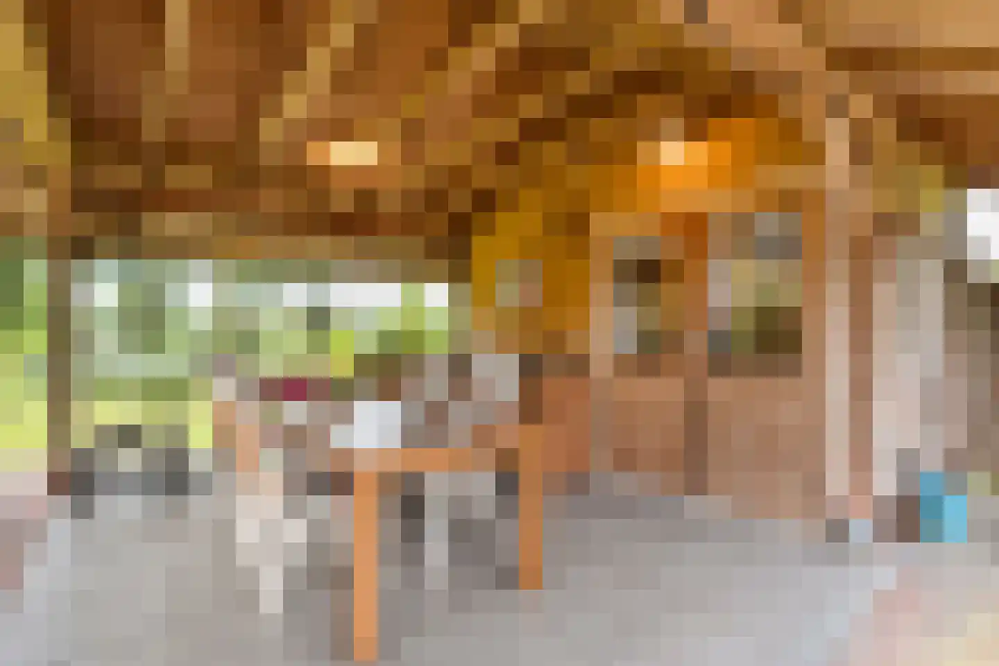 Meeleweg 23 Nieuwleusen thumbnail 63